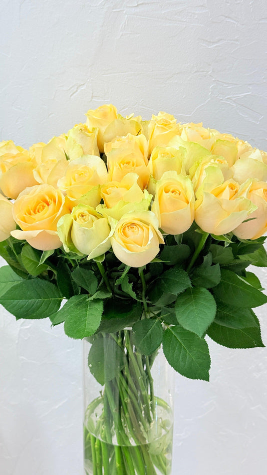 Magic - Rosabella Flowers