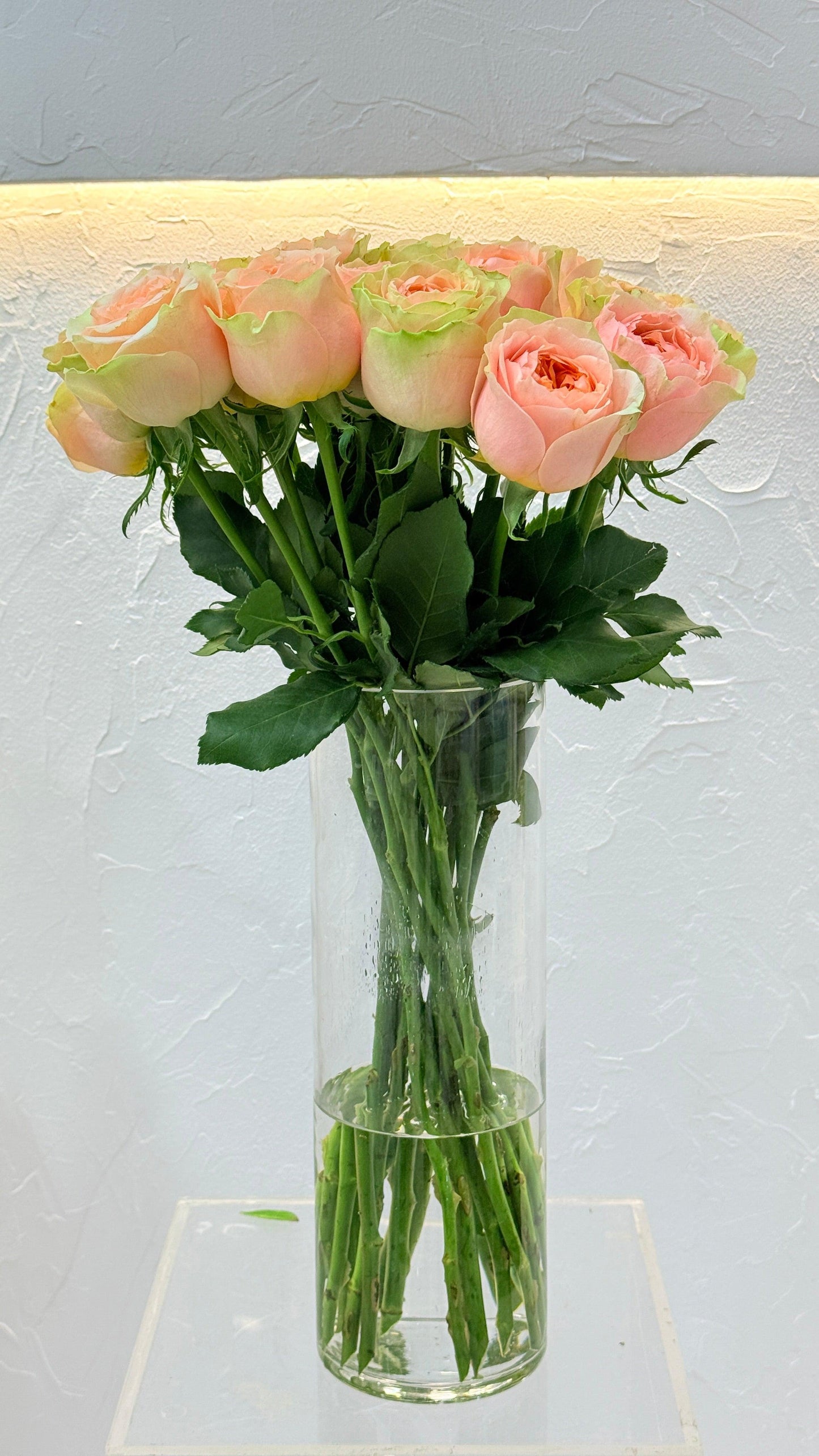 Lucky Sweet Pink - Rosabella Flowers
