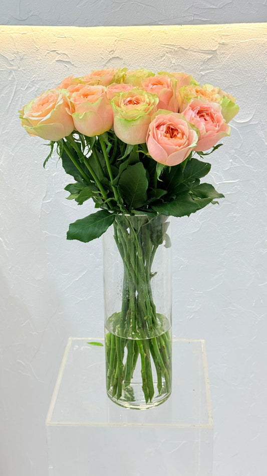 Lucky Sweet Pink - Rosabella Flowers