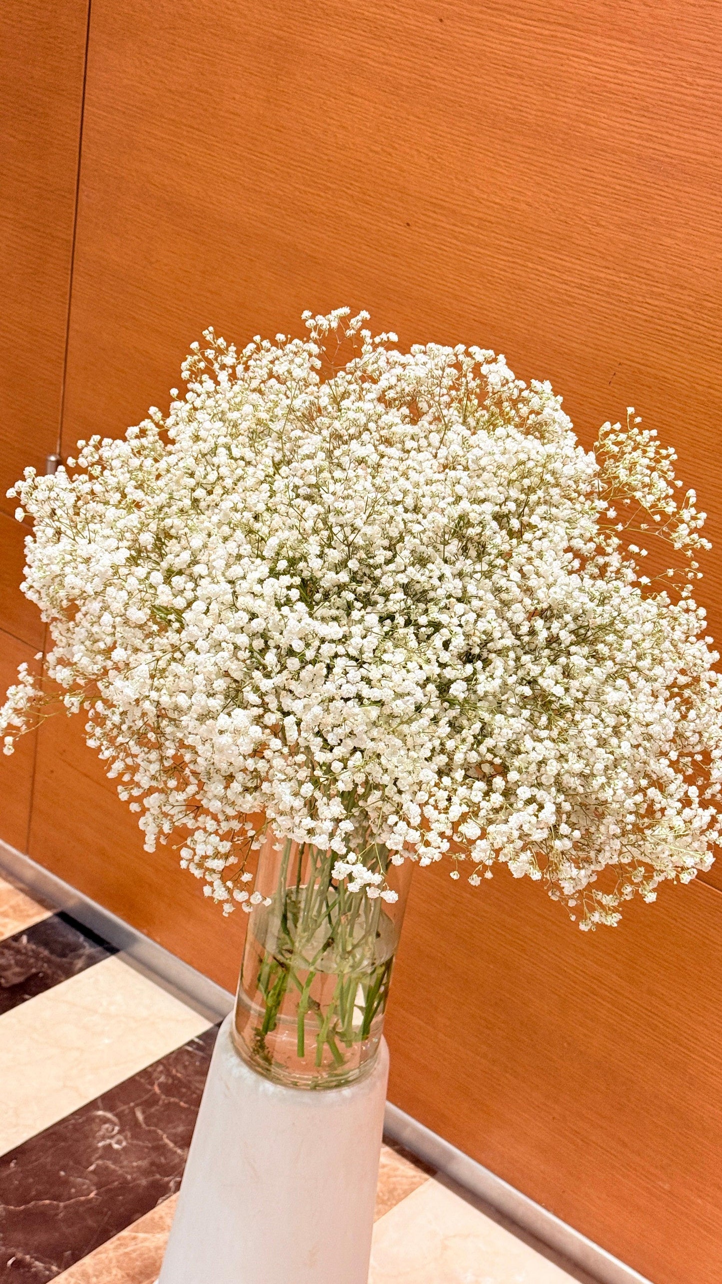 Gypsophila - Rosabella Flowers