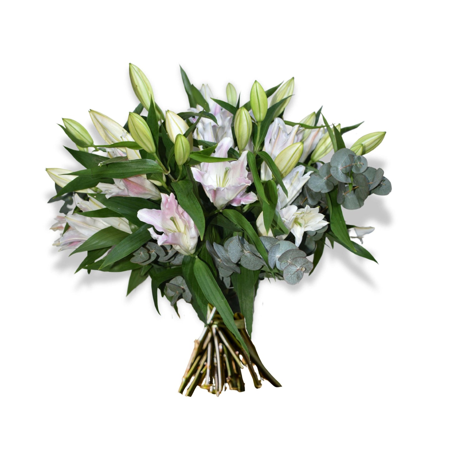 Pink Smile - Rosabella Flowers