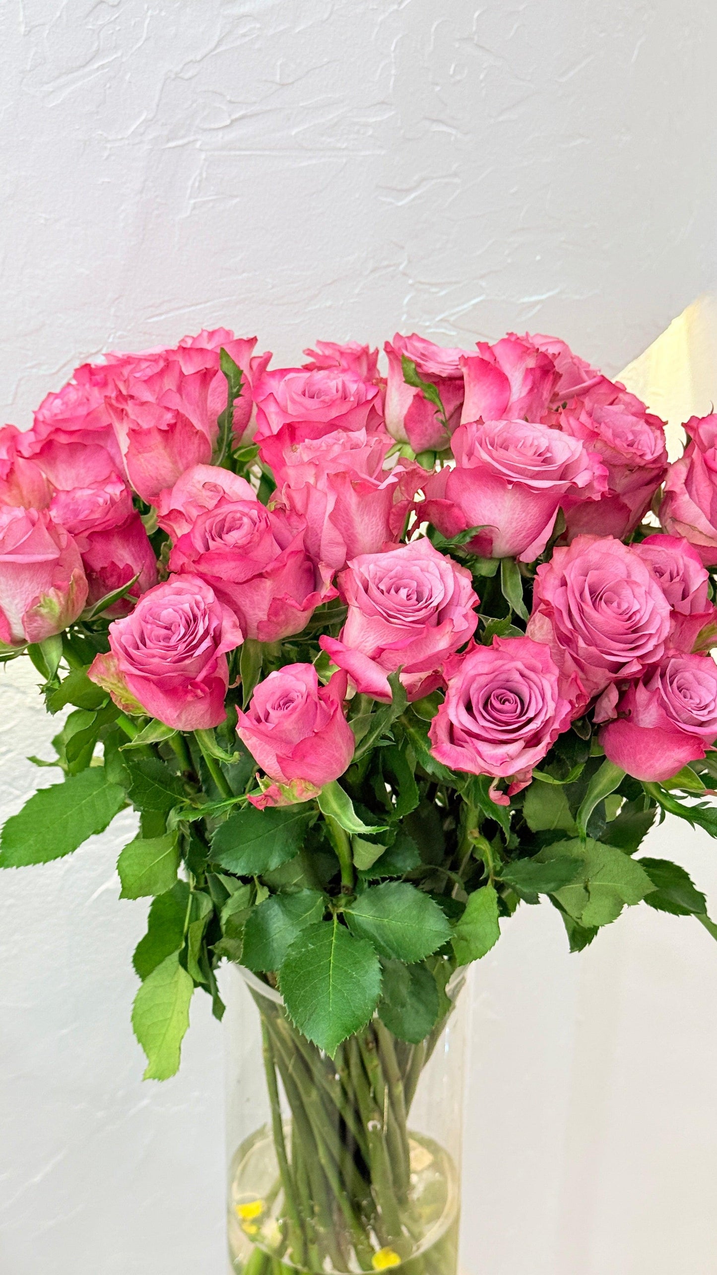 Lucky Purple - Rosabella Flowers
