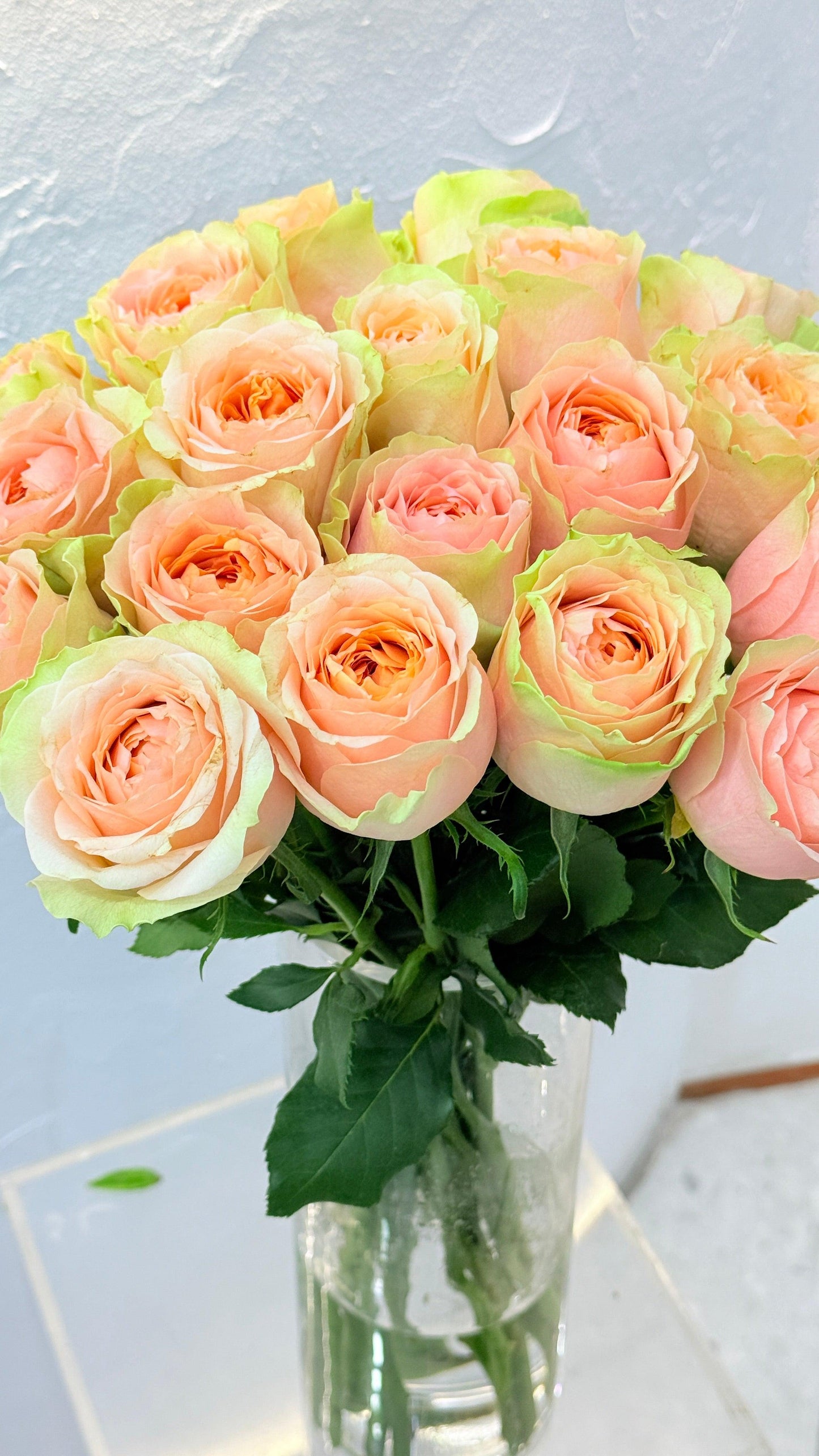 Lucky Sweet Pink - Rosabella Flowers
