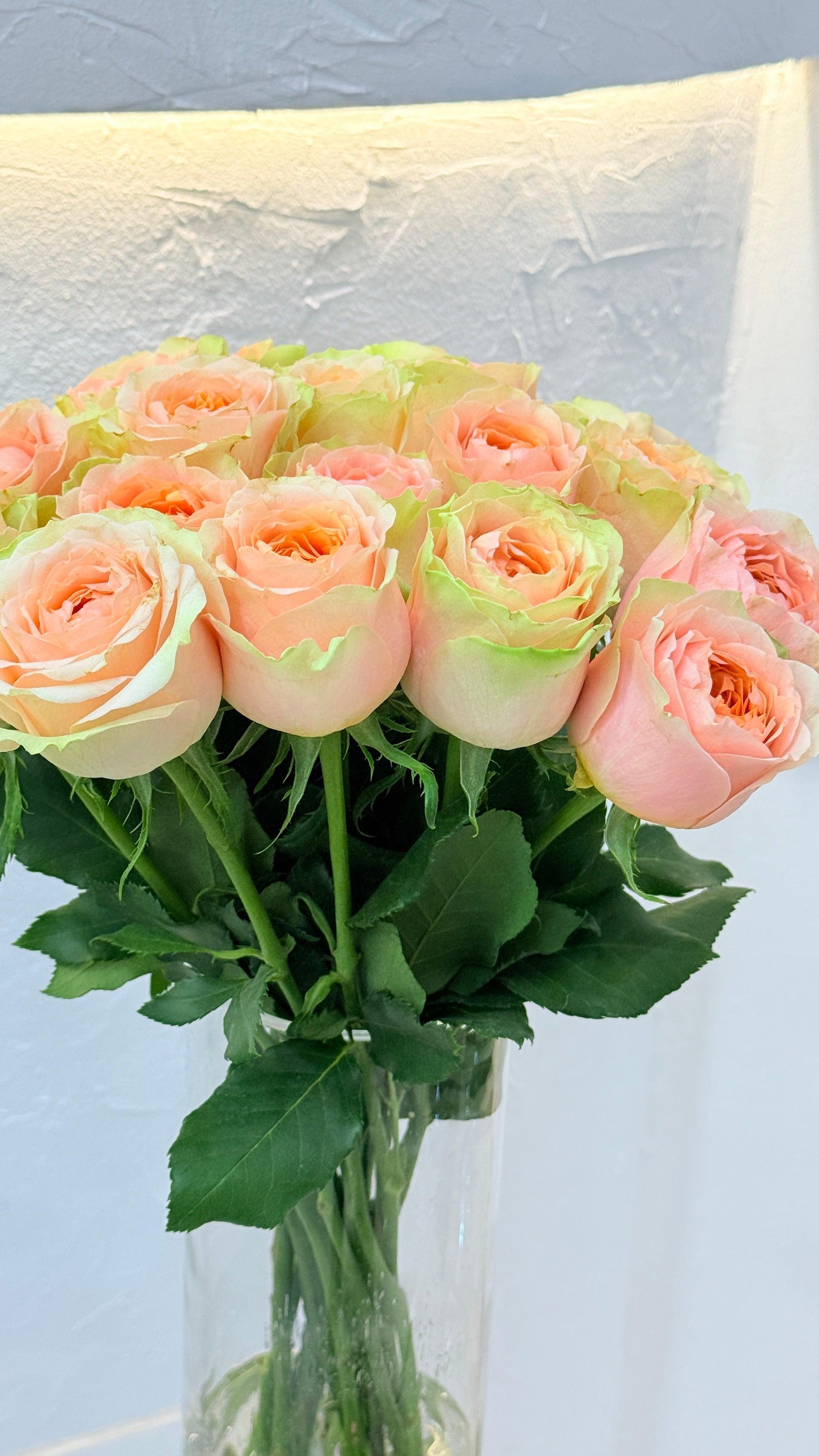 Lucky Sweet Pink - Rosabella Flowers