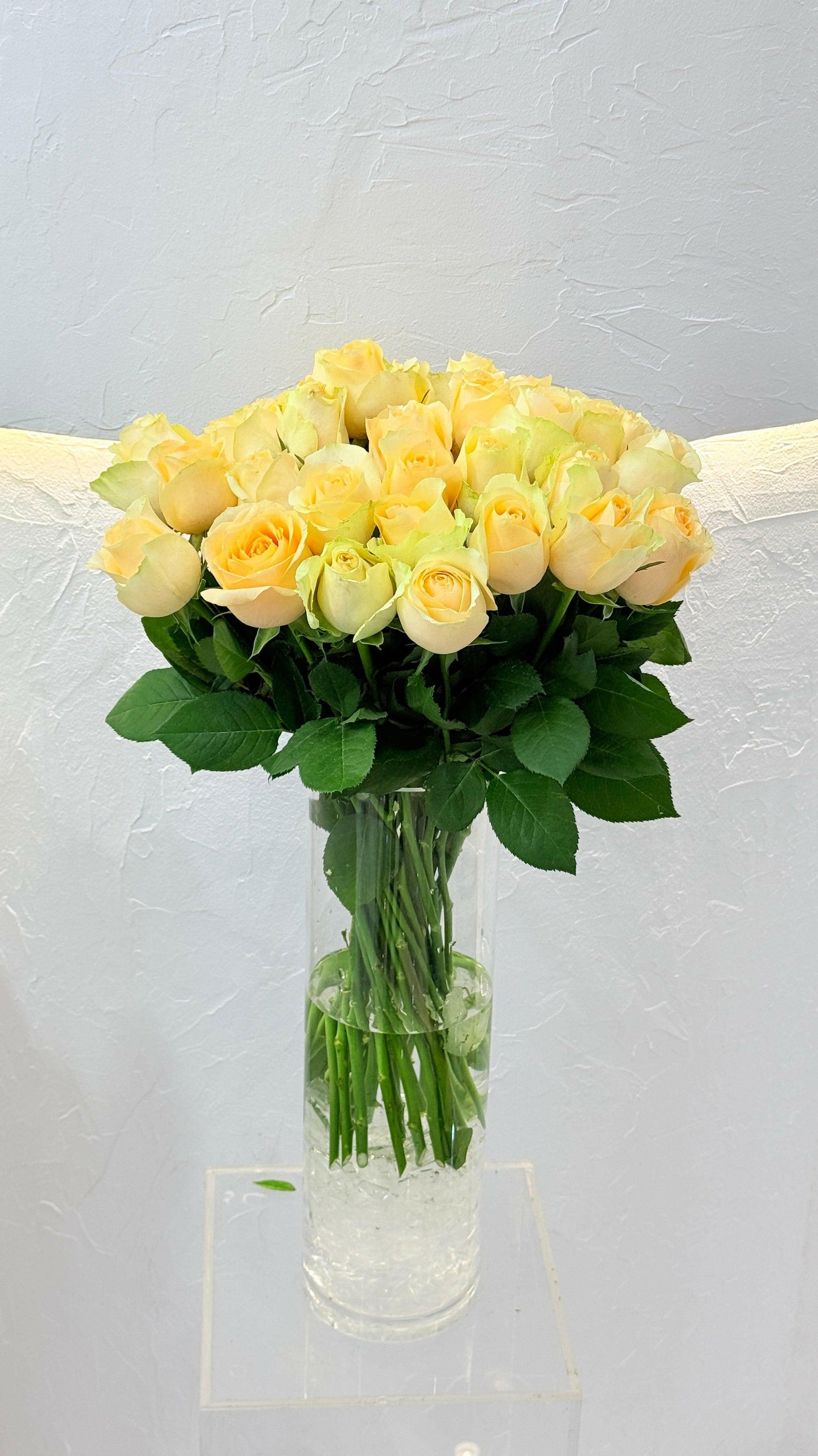 Magic - Rosabella Flowers