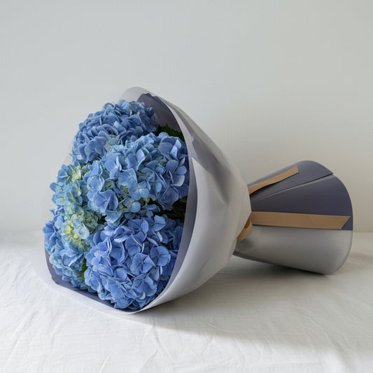 Sapphire Hydrangea Wrap
