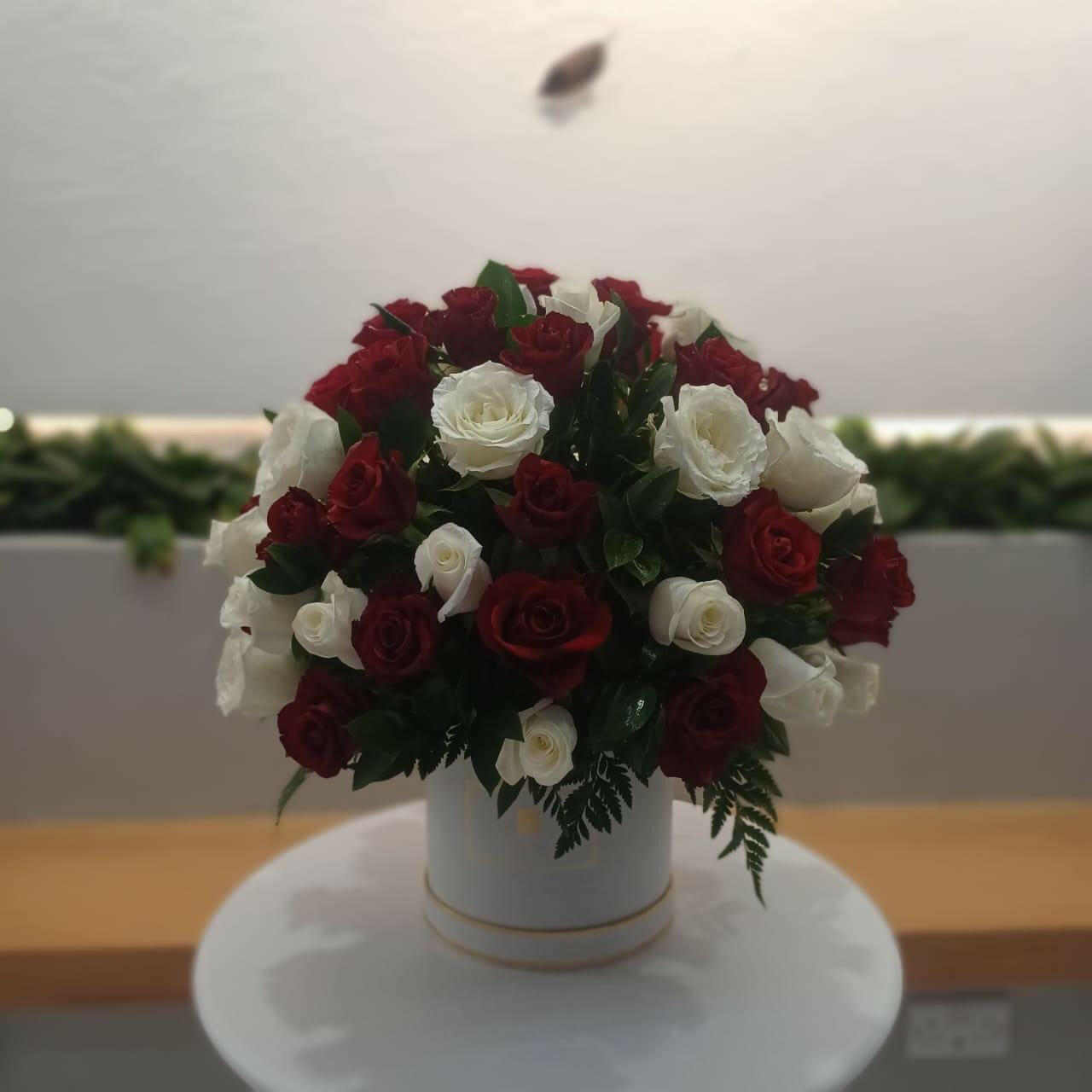 Rose Double - Rosabella Flowers