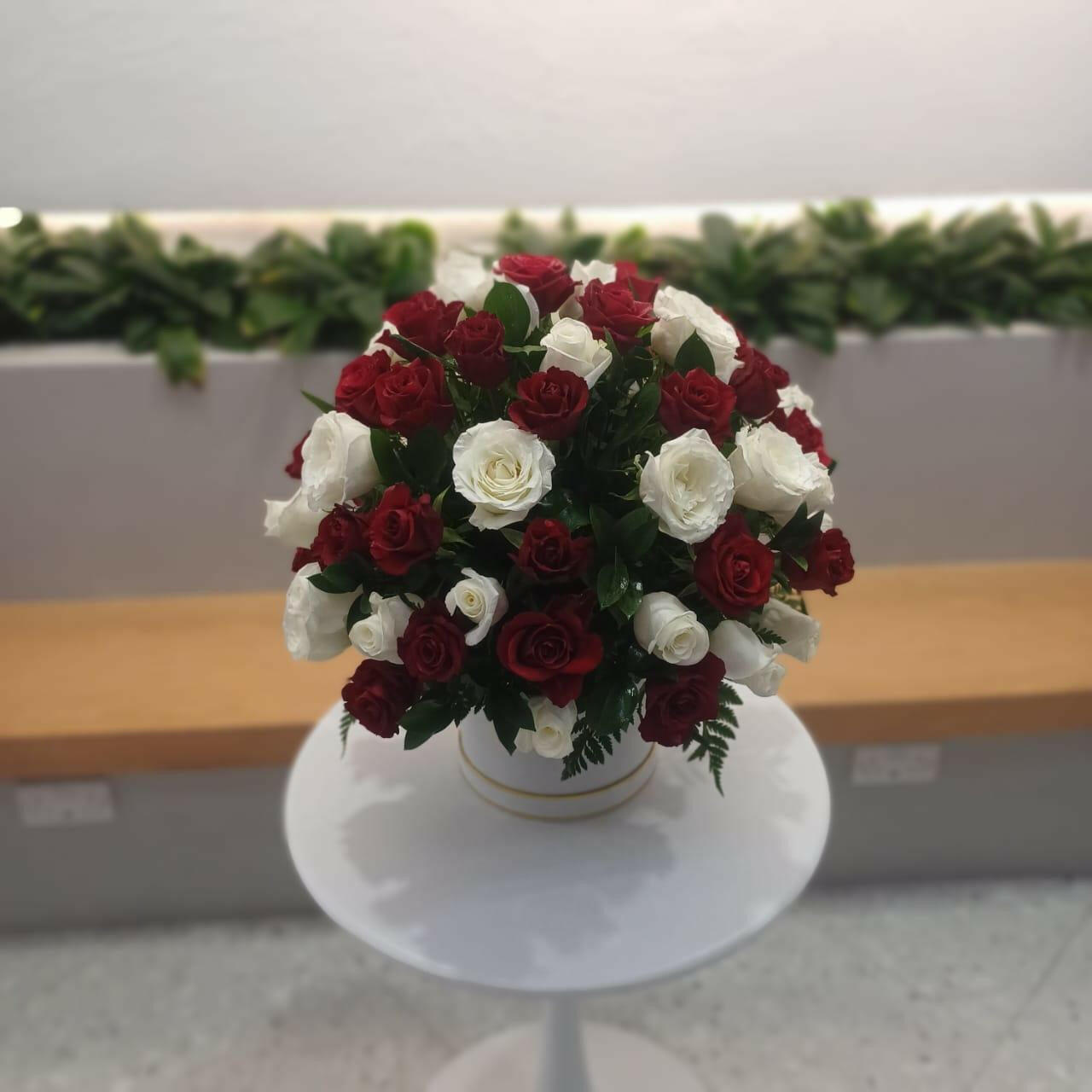 Rose Double - Rosabella Flowers