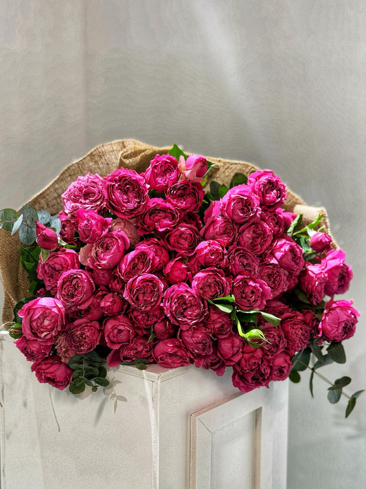 A Melody - Rosabella Flowers