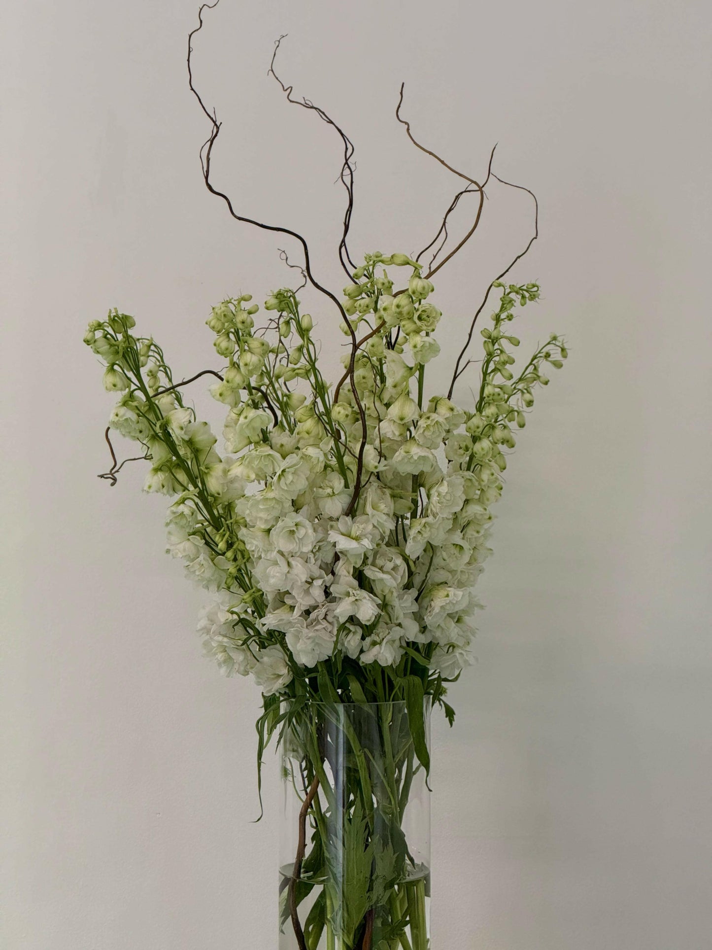 Finest White - Rosabella Flowers