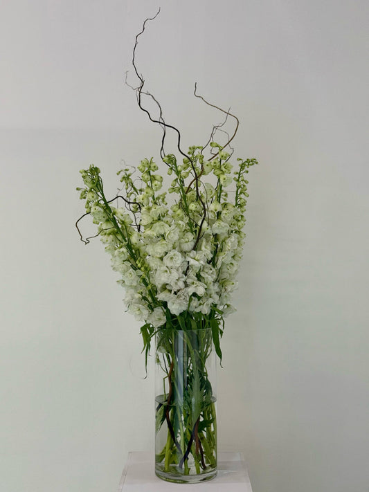 Finest White - Rosabella Flowers