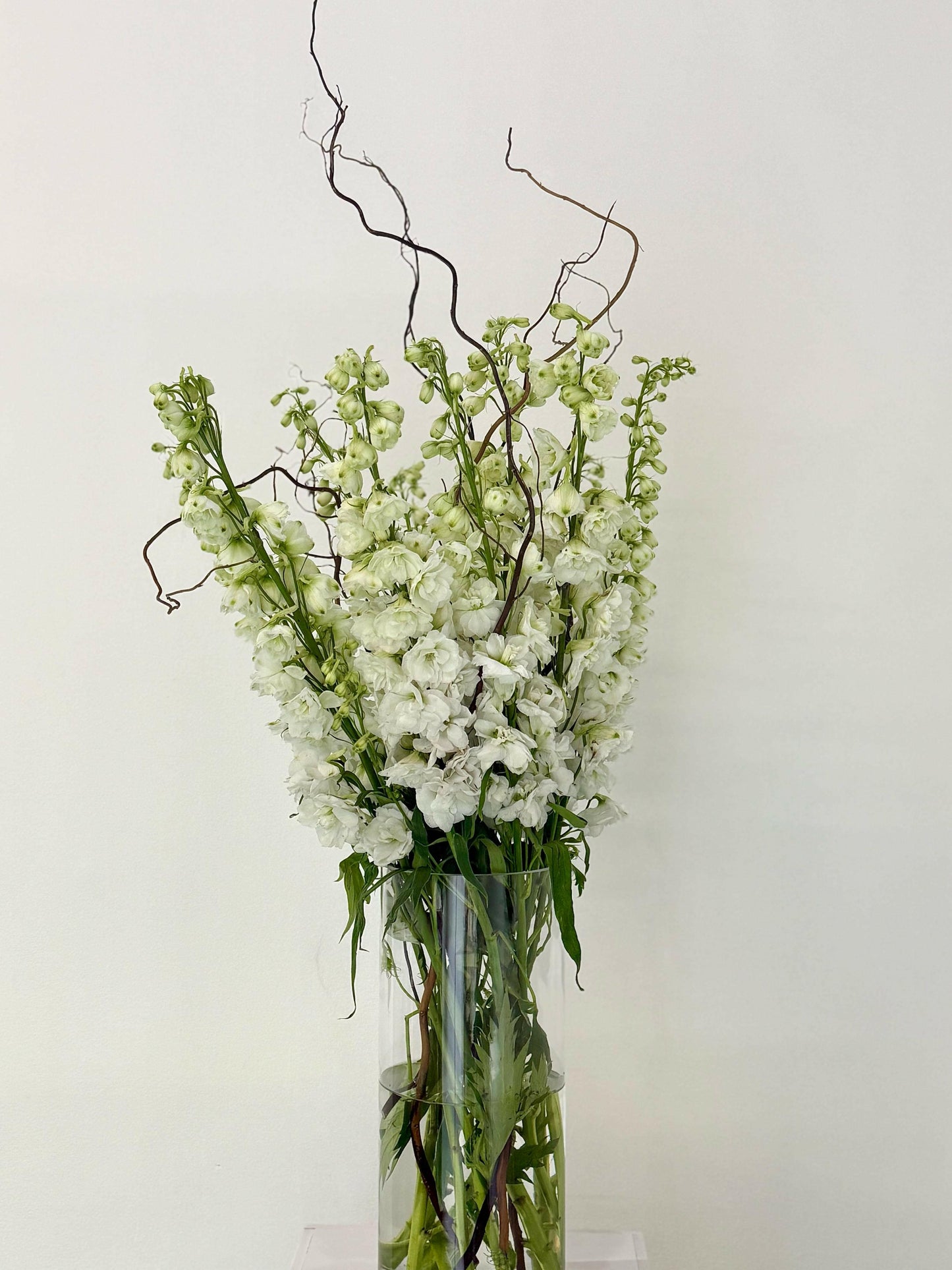 Finest White - Rosabella Flowers