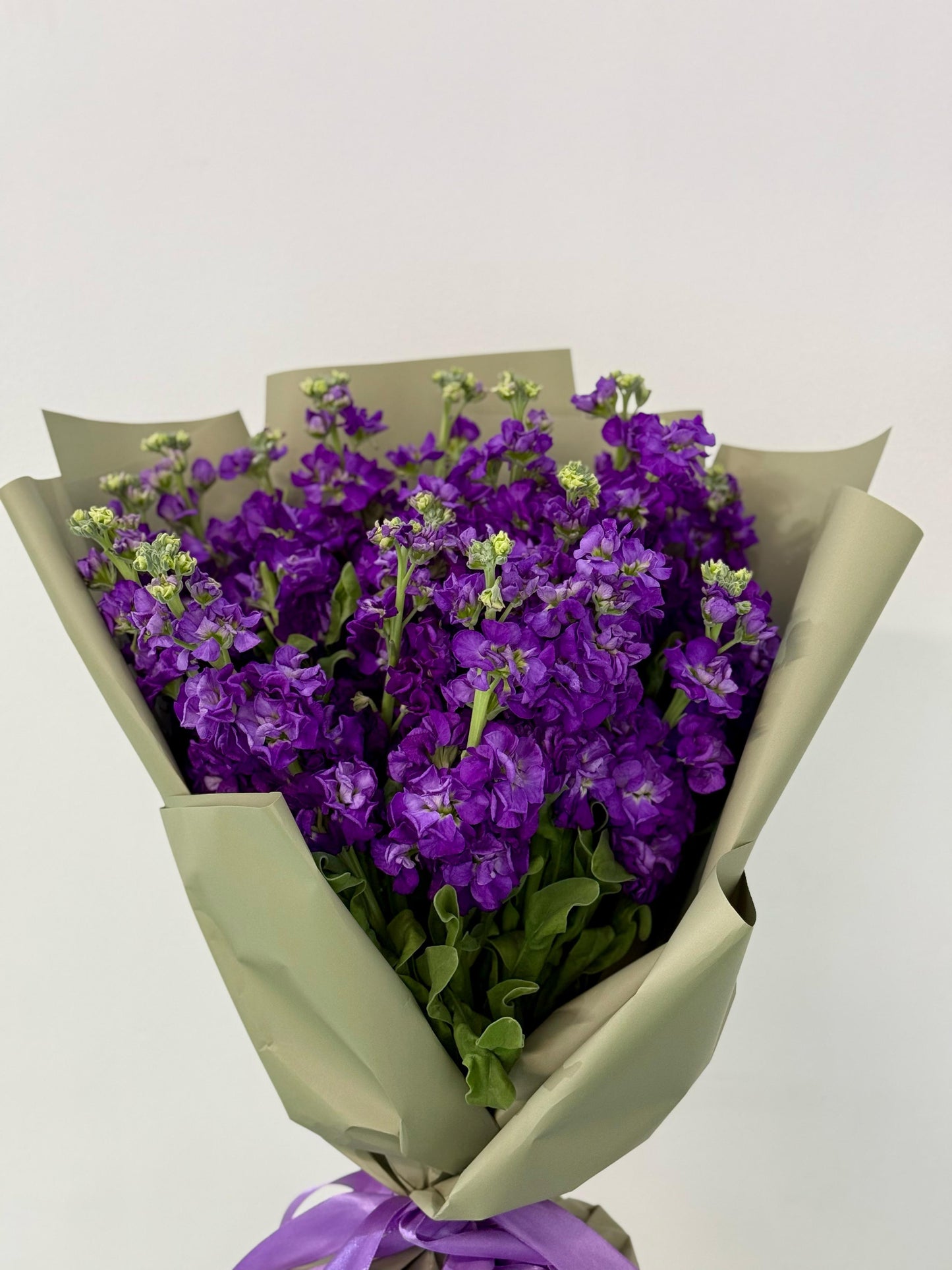 La Purple - Rosabella Flowers