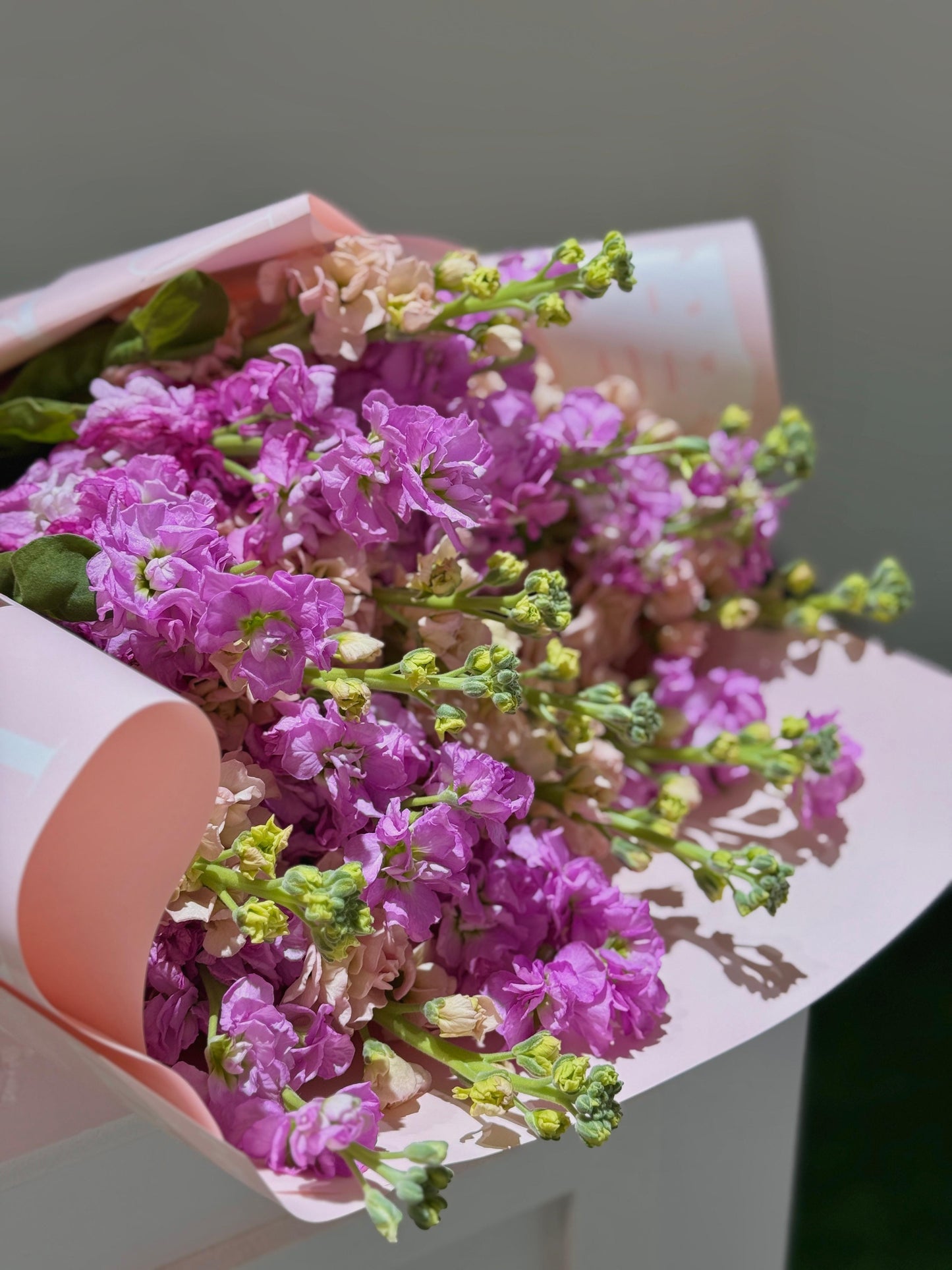 Love Magic - Rosabella Flowers