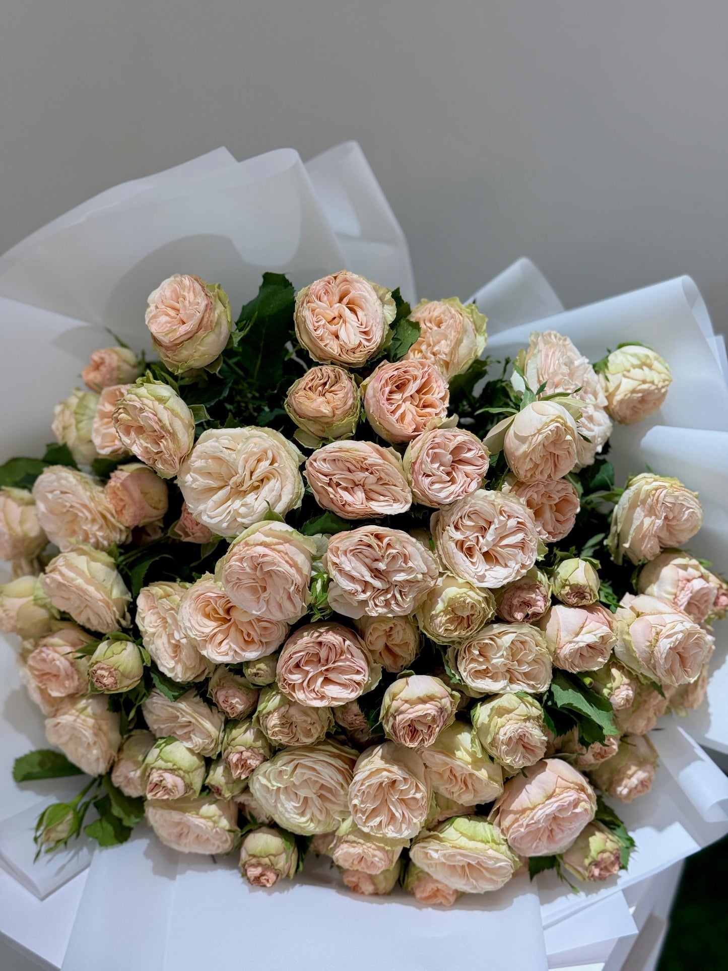 A Gentle - Rosabella Flowers