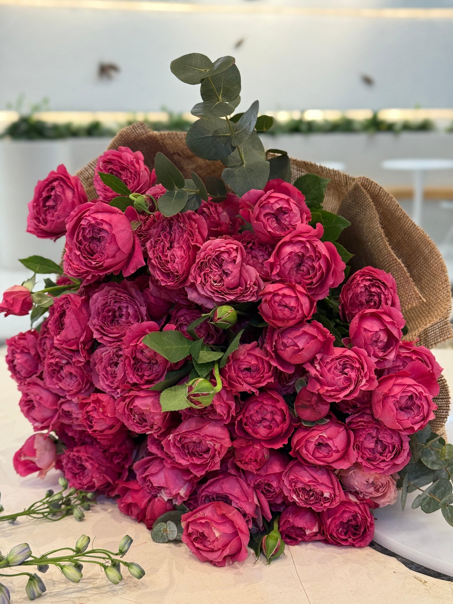 A Melody - Rosabella Flowers