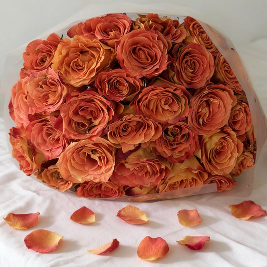 Premium Amber Rose Embrace