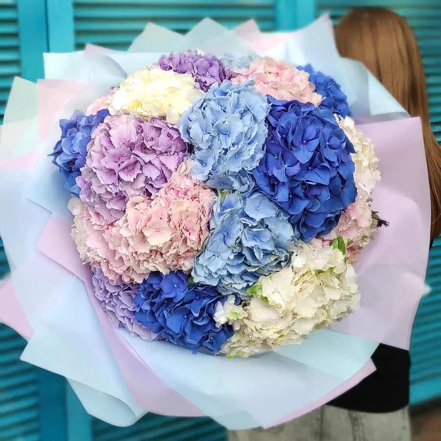 Hydrangeas