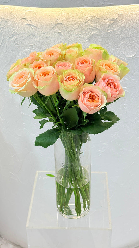 Lucky Sweet Pink - Rosabella Flowers