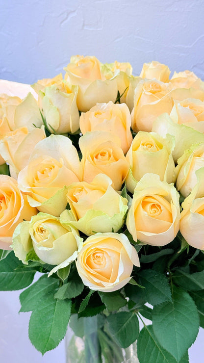 Magic - Rosabella Flowers