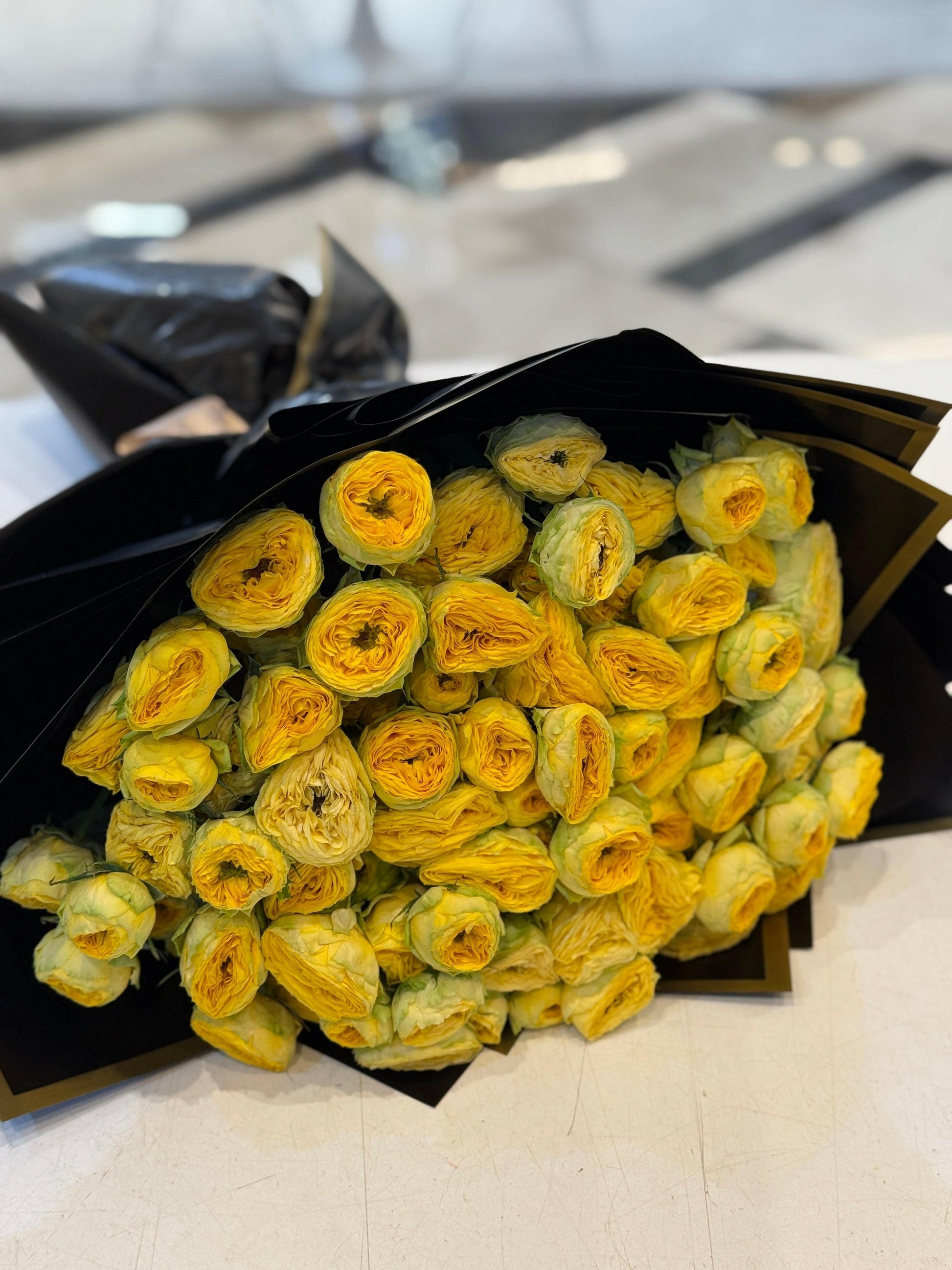 Trendsetter - Rosabella Flowers