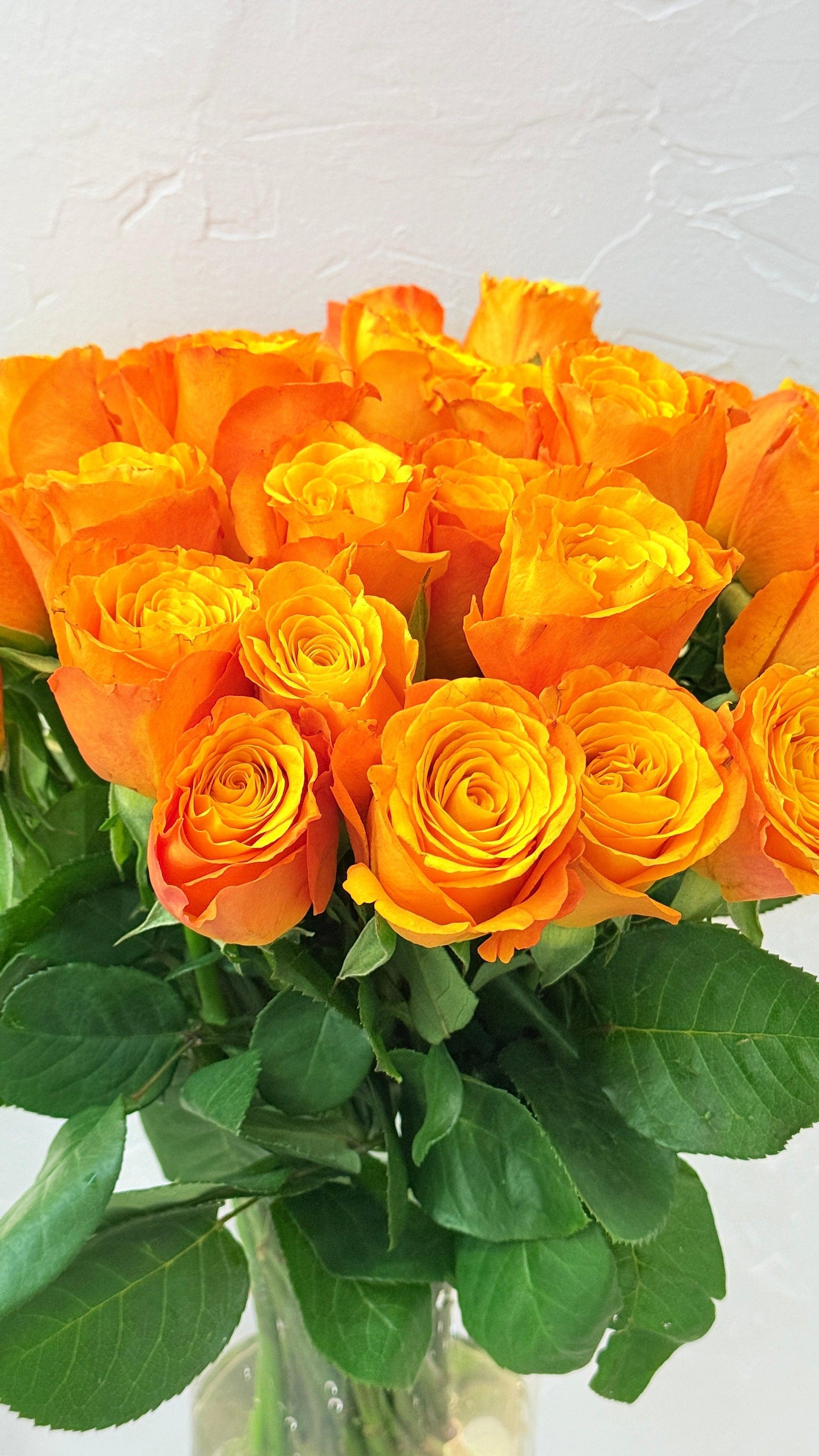 Lucky Orange - Rosabella Flowers