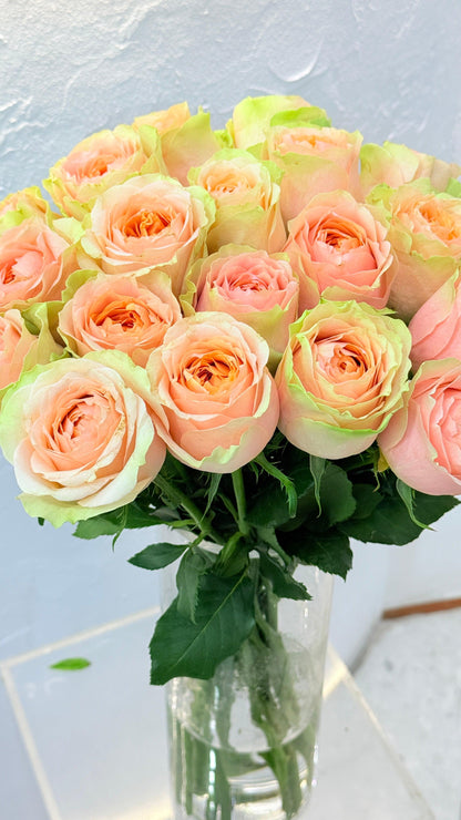 Lucky Sweet Pink - Rosabella Flowers