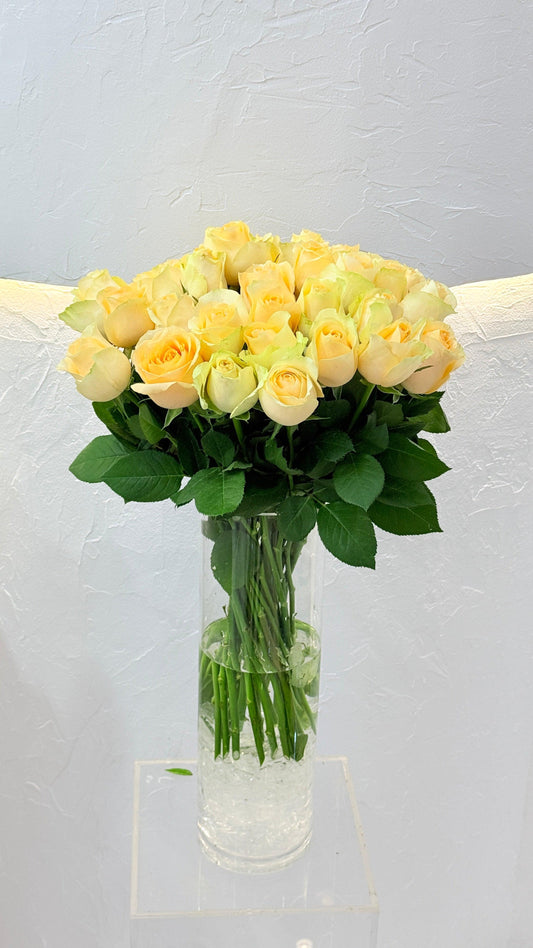 Magic - Rosabella Flowers