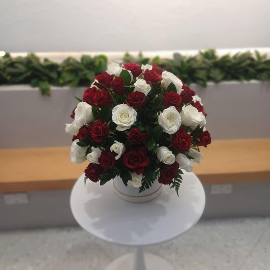 Rose Double - Rosabella Flowers