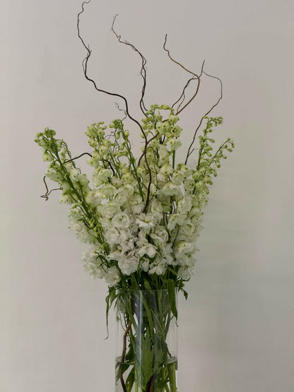 Finest White - Rosabella Flowers