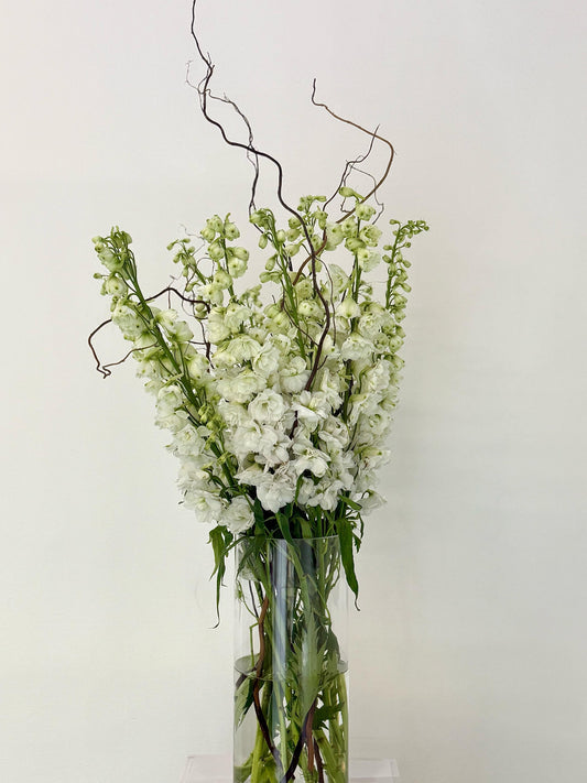 Finest White - Rosabella Flowers