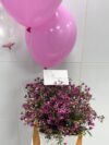 Purple Whisper Wax Flower Box with Balloons - Image 3